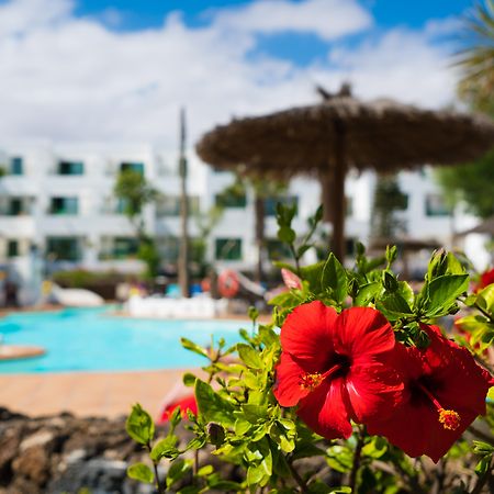 Apartamentos Galeon Playa Costa Teguise Extérieur photo